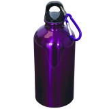 500 ml (17 oz.) Stainless Steel Water Bottle With Carabineer