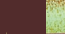 Brown / Pebble Green