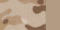 Multicam Arid / Tan