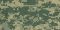 Digital Camouflage