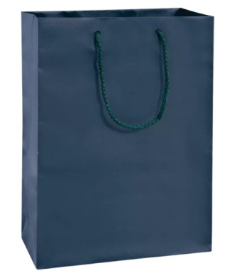 Matte Laminate Shopping Bag (10" x 5")