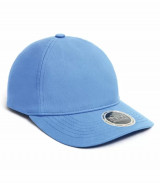 Enzyme 2 Panel Cap