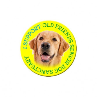 Pin Back Round Buttons (2.25")