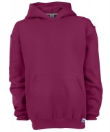 Youth Dri-Power Fleece Hooded Pullover