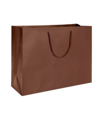 Matte Laminate Shopping Bag (16" x 6")