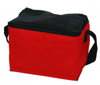 Non Woven Cooler / Lunch Bag