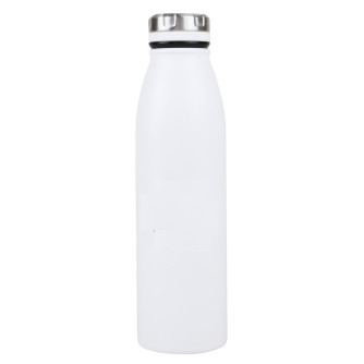 Dextera Recycled Stainless Steel Bottle (20 Fl. Oz.)