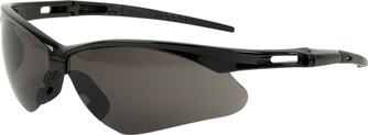 Bouton Anser Gray Glasses