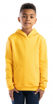 Youth Hooded Sweatshirt (14 oz)