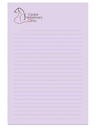 4" x 6" Adhesive Notepad (100 Sheet)