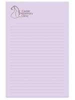 4" x 6" Adhesive Notepad (25 Sheet)