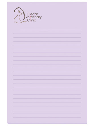 4" x 6" Adhesive Notepad (25 Sheet)