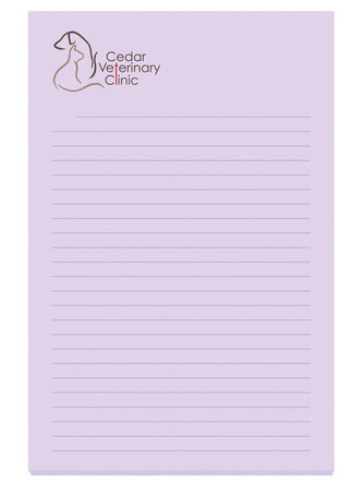 4" x 6" Adhesive Notepad (50 Sheet)