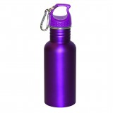 Wide Mouth 500 ml (16 oz.) Stainless Steel Water Bottle