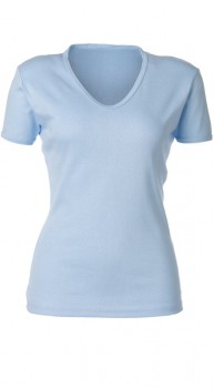 Ladies' V-Neck T-Shirt