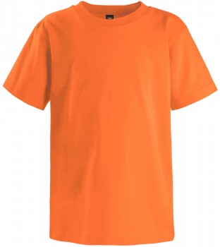 Youth Crewneck T-Shirt